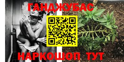 PSILOCYBIN Гусь-Хрустальный