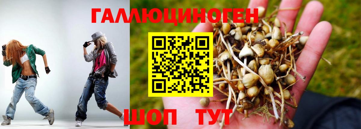 Псилоцибиновые грибы MAGIC MUSHROOMS Старая Купавна